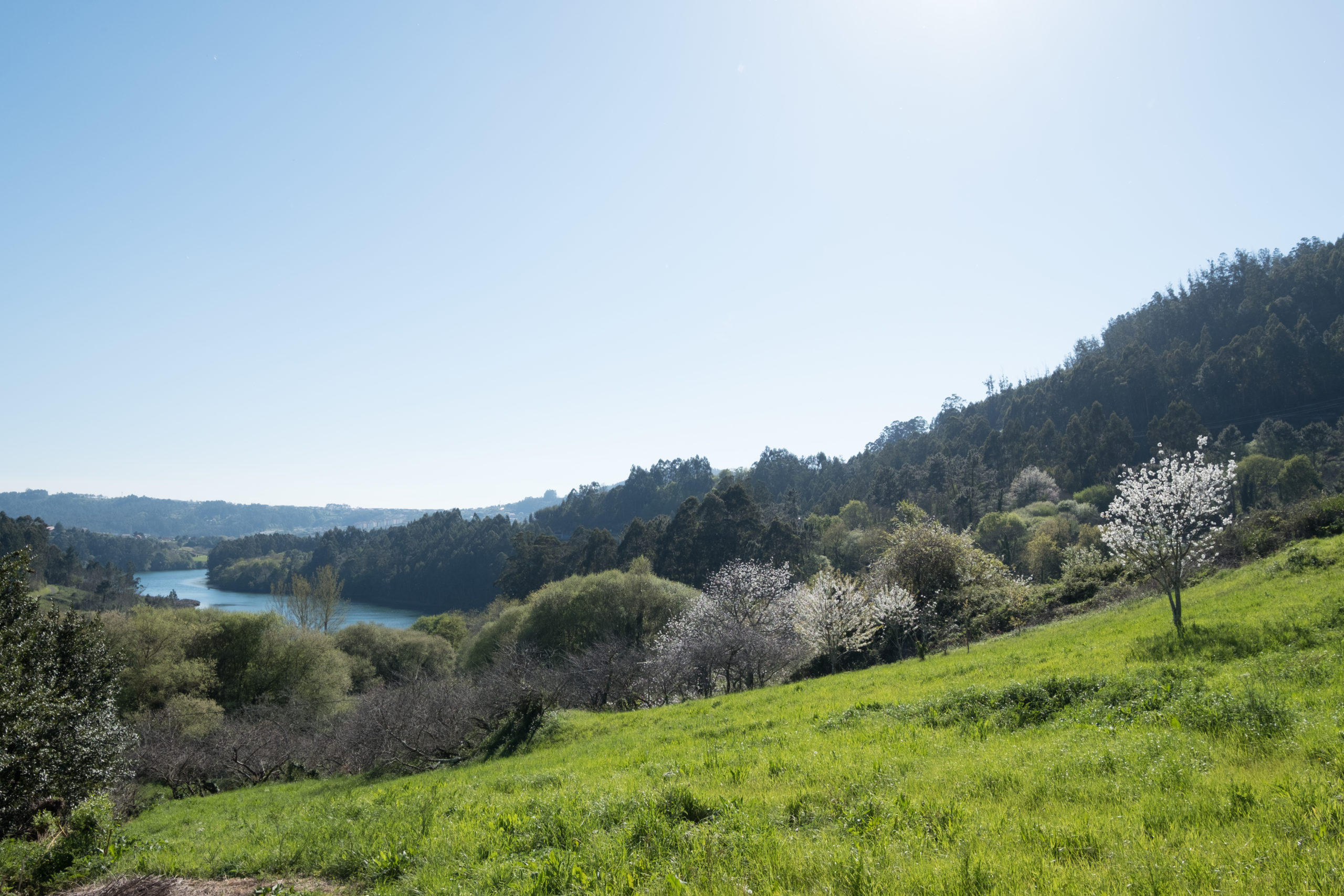 Propietarios en Ferrolterra: convierte tu inmueble rural en un activo rentable Propietarios en Ferrolterra: convierte tu inmueble rural en un activo rentable