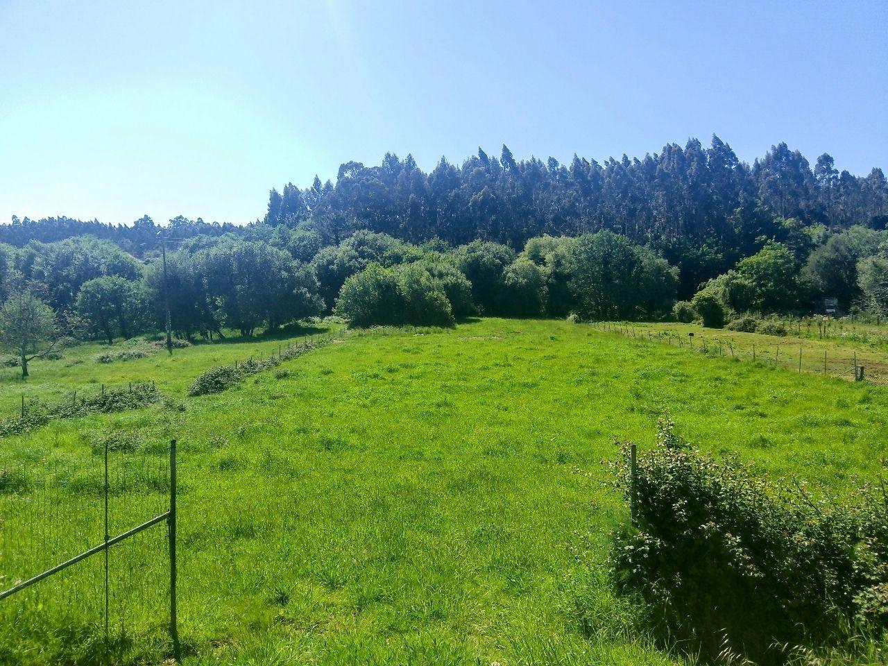Suelos en Ferrolterra: tipos de terreno, precios y oportunidades inmobiliarias en 2026 Suelos en Ferrolterra: tipos de terreno, precios y oportunidades inmobiliarias en 2026